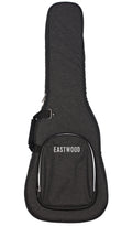 Standard Guitar